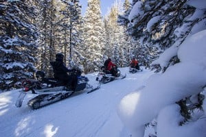 Snowmobile Tour