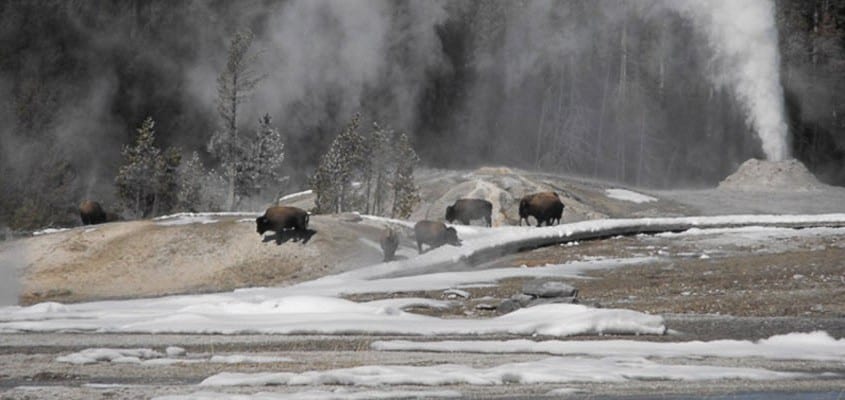 Yellowstone National Park